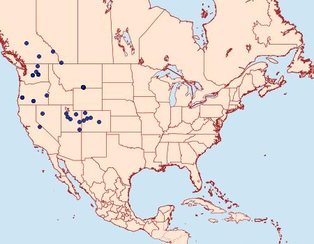 Distribution Data for Euxoa pallidimacula