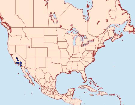 Distribution Data for Euxoa cinnabarina