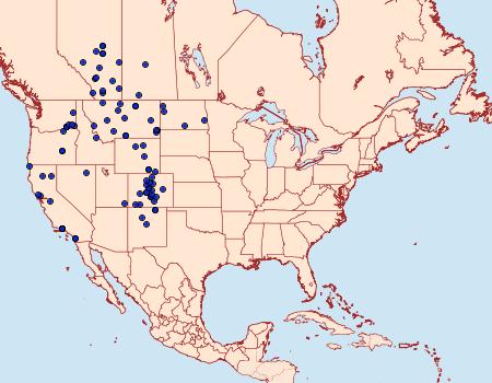 Distribution Data for Euxoa basalis