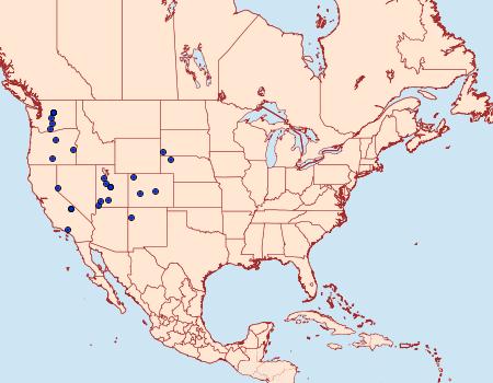 Distribution Data for Euxoa permixta