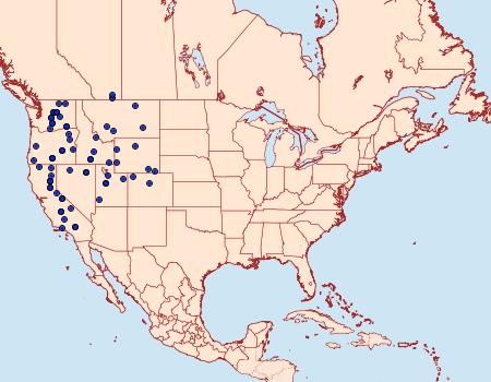 Distribution Data for Euxoa nostra