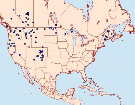 Distribution Data for Euxoa ochrogaster