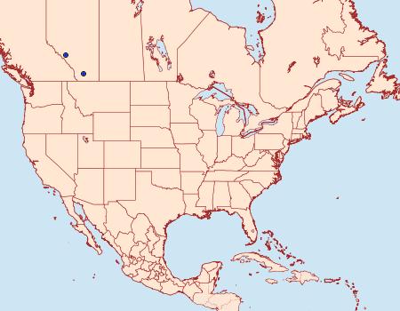 Distribution Data for Euxoa cursoria