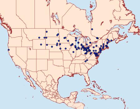 Distribution Data for Euxoa velleripennis