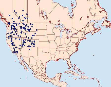 Distribution Data for Euxoa plagigera