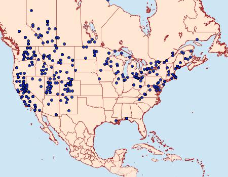 Distribution Data for Euxoa tessellata