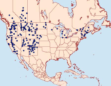 Distribution Data for Euxoa albipennis