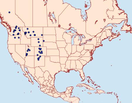 Distribution Data for Euxoa lillooet