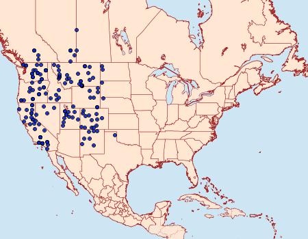 Distribution Data for Euxoa catenula