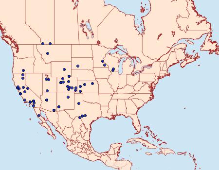 Distribution Data for Euxoa medialis