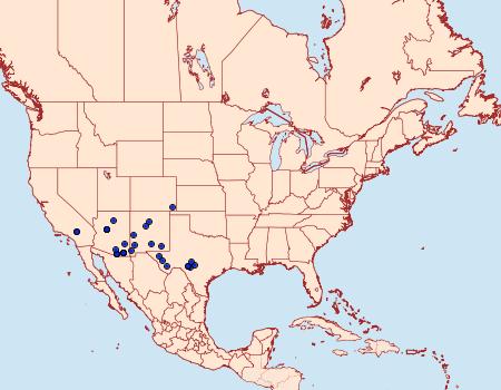 Distribution Data for Euxoa sculptilis