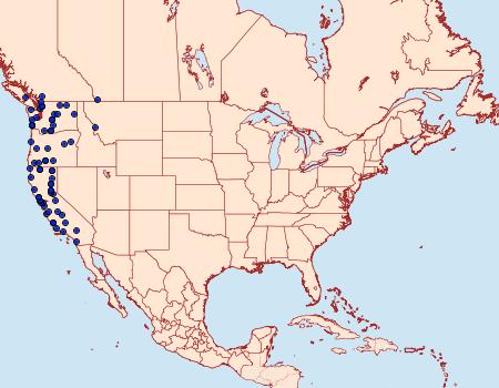 Distribution Data for Euxoa perexcellens