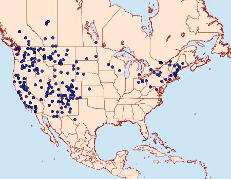 Distribution Data for Euxoa obeliscoides