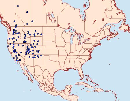 Distribution Data for Euxoa choris