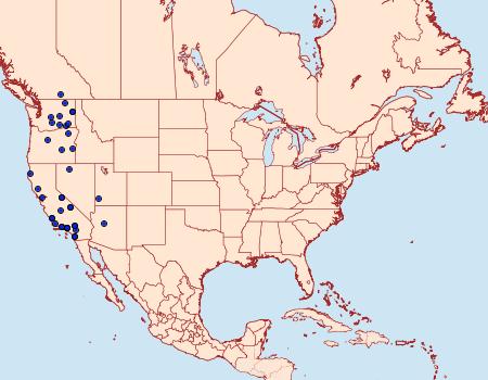 Distribution Data for Euxoa subandera