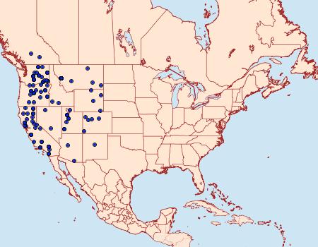 Distribution Data for Euxoa hollemani