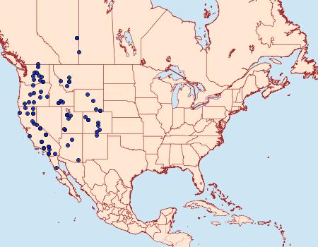 Distribution Data for Euxoa brevipennis