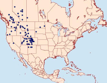 Distribution Data for Euxoa castanea