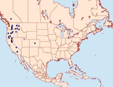 Distribution Data for Euxoa costata