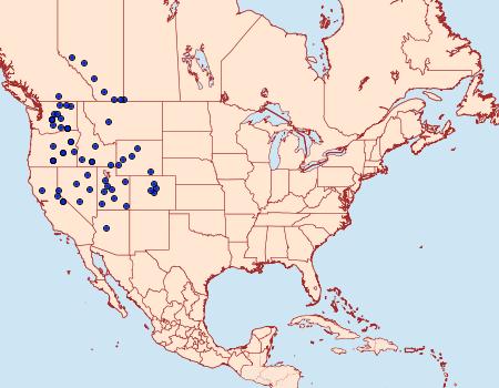 Distribution Data for Euxoa furtivus