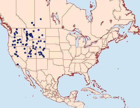 Distribution Data for Euxoa laetificans