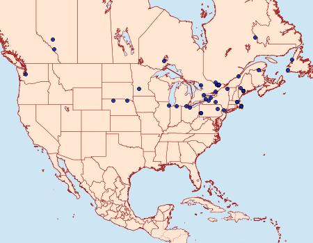 Distribution Data for Elachista orestella