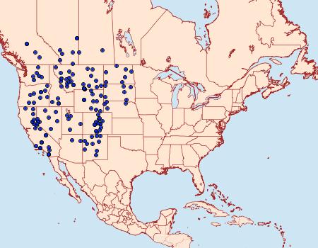 Distribution Data for Euxoa quadridentata