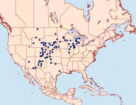 Distribution Data for Euxoa niveilinea