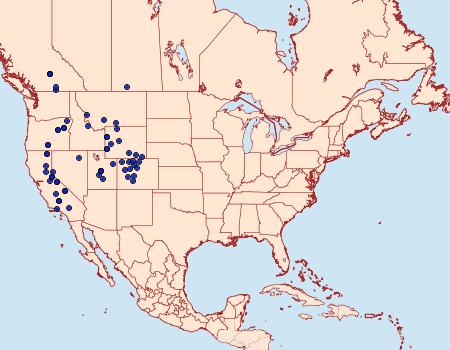 Distribution Data for Euxoa agema