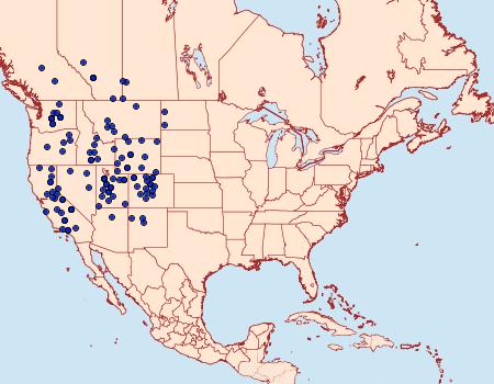 Distribution Data for Euxoa olivalis