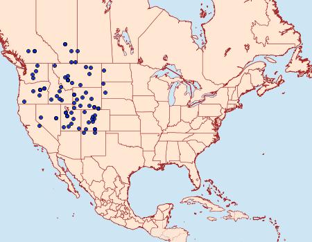 Distribution Data for Euxoa oblongistigma