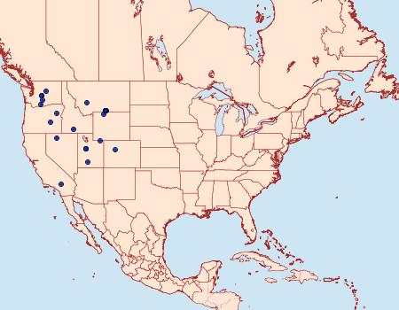 Distribution Data for Euxoa melura