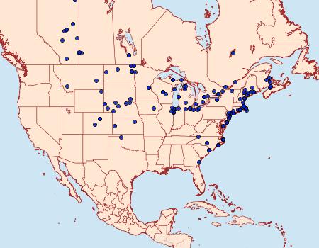 Distribution Data for Euxoa detersa