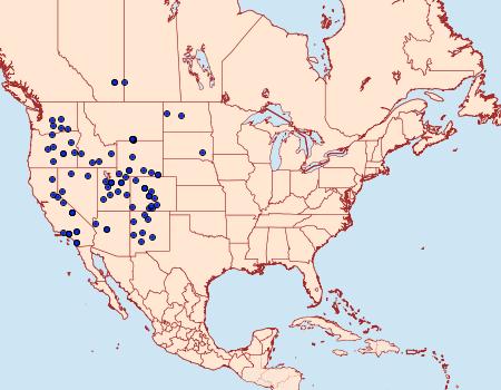 Distribution Data for Euxoa citricolor