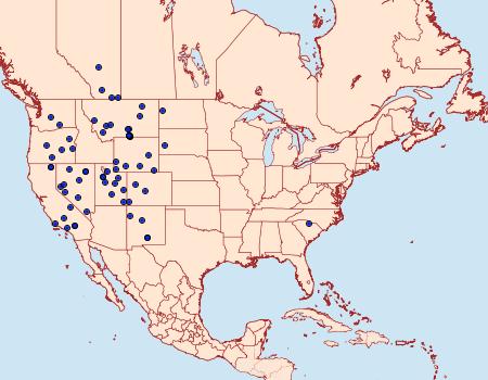 Distribution Data for Euxoa tronellus