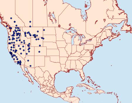 Distribution Data for Euxoa difformis