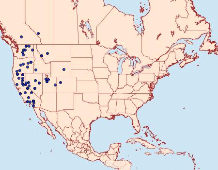 Distribution Data for Euxoa murdocki