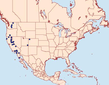 Distribution Data for Euxoa latro