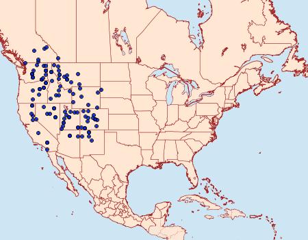 Distribution Data for Euxoa infracta