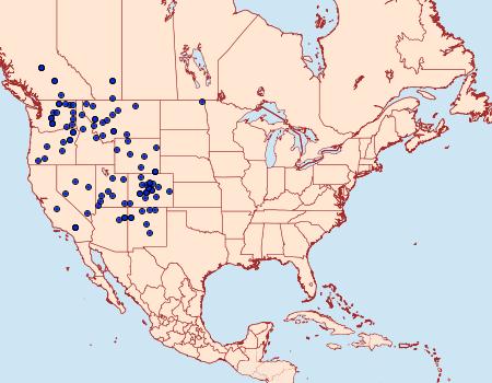 Distribution Data for Euxoa auripennis