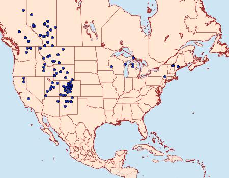 Distribution Data for Euxoa servitus