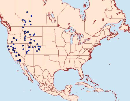 Distribution Data for Euxoa munis