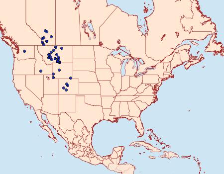 Distribution Data for Euxoa perolivalis