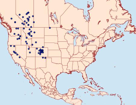 Distribution Data for Euxoa ridingsiana