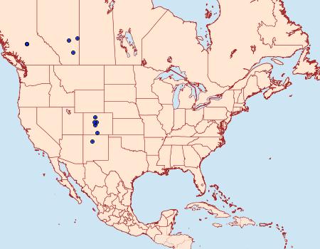 Distribution Data for Euxoa maimes