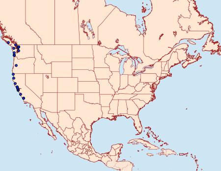 Distribution Data for Euxoa wilsoni