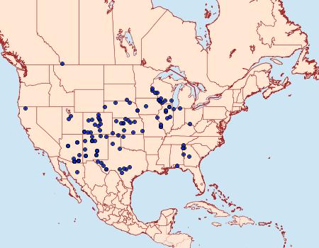 Distribution Data for Dichagyris grotei