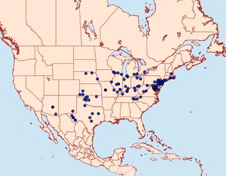 Distribution Data for Dichagyris acclivis