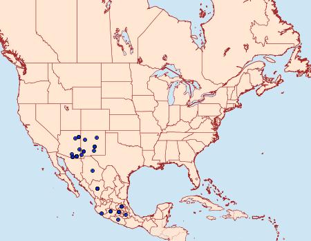 Distribution Data for Dichagyris capota