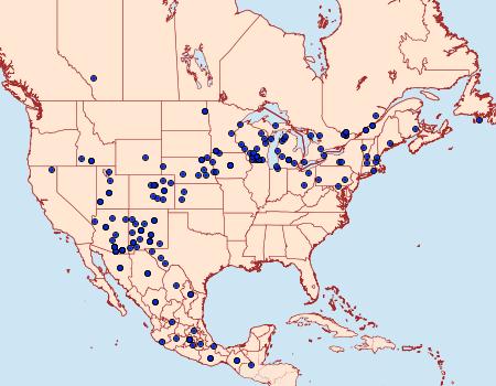 Distribution Data for Striacosta albicosta